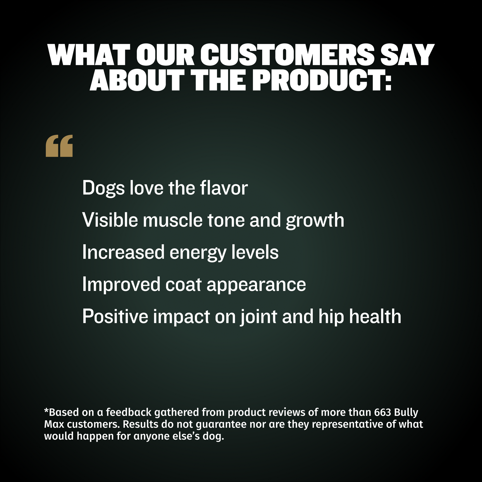 Bully Max Muscle Builder (30 servings)